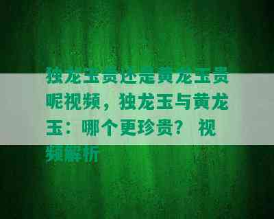 独龙玉贵还是黄龙玉贵呢视频，独龙玉与黄龙玉：哪个更珍贵？ 视频解析