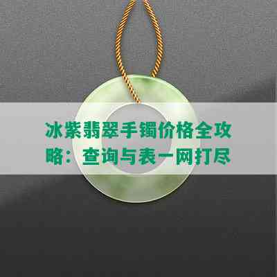 冰紫翡翠手镯价格全攻略：查询与表一网打尽