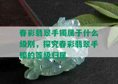 春彩翡翠手镯属于什么级别，探究春彩翡翠手镯的等级归属