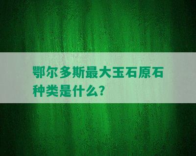 鄂尔多斯更大玉石原石种类是什么？