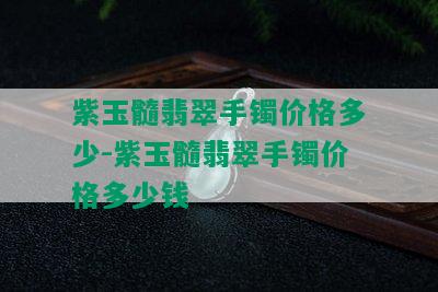 紫玉髓翡翠手镯价格多少-紫玉髓翡翠手镯价格多少钱