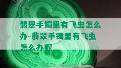 翡翠手镯里有飞虫怎么办-翡翠手镯里有飞虫怎么办呢