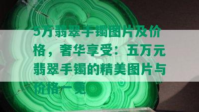 5万翡翠手镯图片及价格，奢华享受：五万元翡翠手镯的精美图片与价格一览