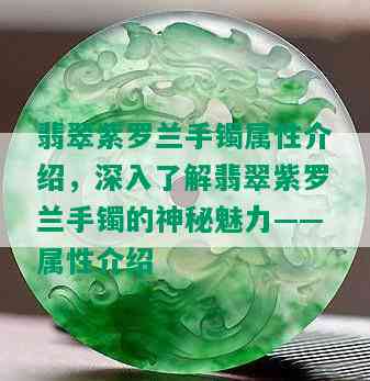 翡翠紫罗兰手镯属性介绍，深入了解翡翠紫罗兰手镯的神秘魅力——属性介绍