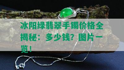 冰阳绿翡翠手镯价格全揭秘：多少钱？图片一览！