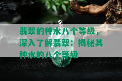 翡翠的种水八个等级，深入了解翡翠：揭秘其种水的八个等级