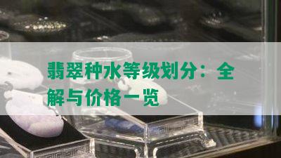 翡翠种水等级划分：全解与价格一览