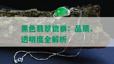 黑色翡翠貔貅：品质、透明度全解析