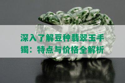 深入了解豆种翡翠玉手镯：特点与价格全解析