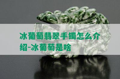 冰葡萄翡翠手镯怎么介绍-冰葡萄是啥