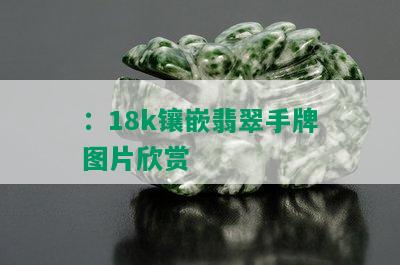 ：18k镶嵌翡翠手牌图片欣赏