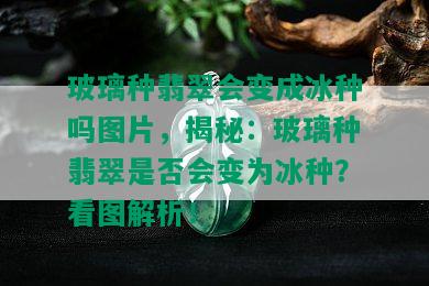 玻璃种翡翠会变成冰种吗图片，揭秘：玻璃种翡翠是否会变为冰种？看图解析！