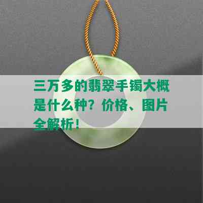 三万多的翡翠手镯大概是什么种？价格、图片全解析！