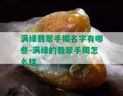 满绿翡翠手镯名字有哪些-满绿的翡翠手镯怎么样