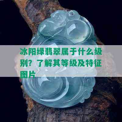 冰阳绿翡翠属于什么级别？了解其等级及特征图片