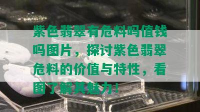 紫色翡翠有危料吗值钱吗图片，探讨紫色翡翠危料的价值与特性，看图了解其魅力！