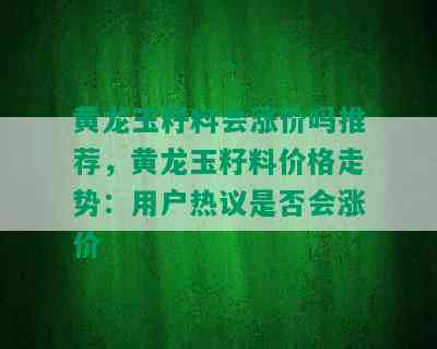 黄龙玉籽料会涨价吗推荐，黄龙玉籽料价格走势：用户热议是否会涨价