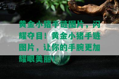 黄金小猪手链图片，闪耀夺目！黄金小猪手链图片，让你的手腕更加耀眼美丽！