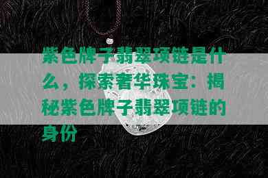 紫色牌子翡翠项链是什么，探索奢华珠宝：揭秘紫色牌子翡翠项链的身份