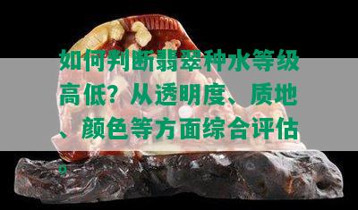 如何判断翡翠种水等级高低？从透明度、质地、颜色等方面综合评估。