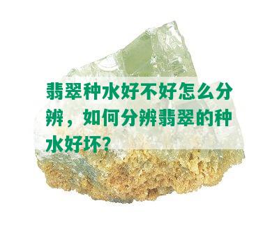 翡翠种水好不好怎么分辨，如何分辨翡翠的种水好坏？