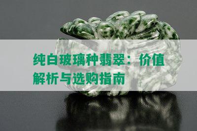 纯白玻璃种翡翠：价值解析与选购指南