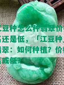 江豆种怎么种翡翠价格高还是低，「江豆种」翡翠：如何种植？价格高或低？