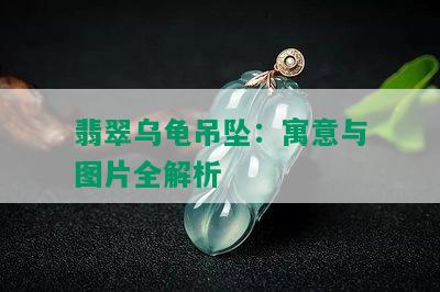 翡翠乌龟吊坠：寓意与图片全解析