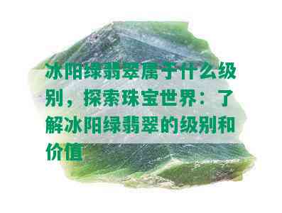 冰阳绿翡翠属于什么级别，探索珠宝世界：了解冰阳绿翡翠的级别和价值