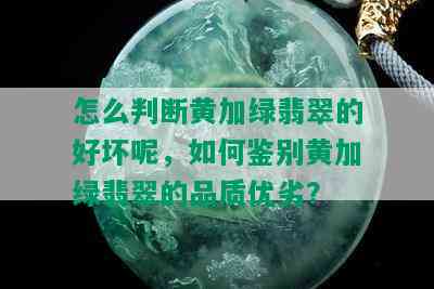 怎么判断黄加绿翡翠的好坏呢，如何鉴别黄加绿翡翠的品质优劣？