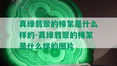 真绿翡翠的棉絮是什么样的-真绿翡翠的棉絮是什么样的图片