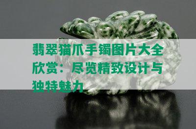 翡翠猫爪手镯图片大全欣赏：尽览精致设计与独特魅力