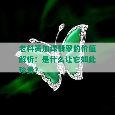 老料黄加绿翡翠的价值解析：是什么让它如此珍贵？