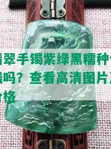 翡翠手镯紫绿黑糯种值钱吗？查看高清图片及价格