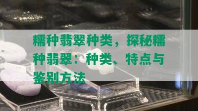 糯种翡翠种类，探秘糯种翡翠：种类、特点与鉴别方法