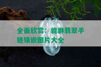 全面欣赏：貔貅翡翠手链镶嵌图片大全