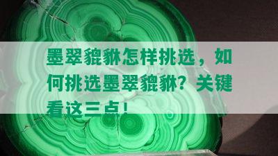 墨翠貔貅怎样挑选，如何挑选墨翠貔貅？关键看这三点！