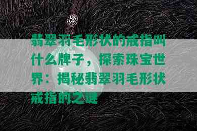 翡翠羽毛形状的戒指叫什么牌子，探索珠宝世界：揭秘翡翠羽毛形状戒指的之谜