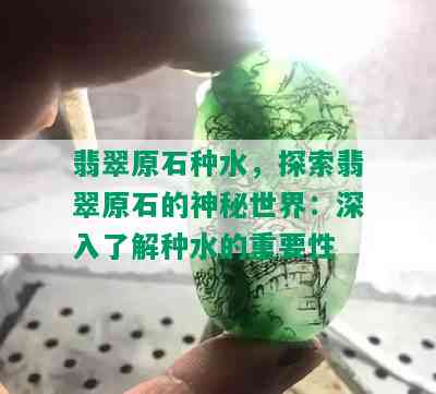 翡翠原石种水，探索翡翠原石的神秘世界：深入了解种水的重要性