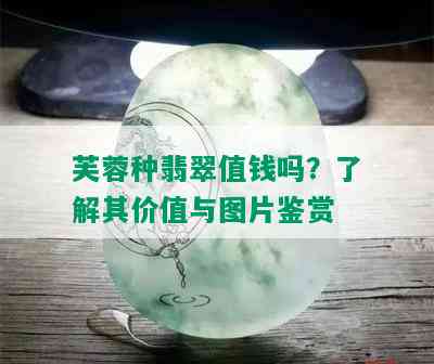 芙蓉种翡翠值钱吗？了解其价值与图片鉴赏