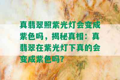 真翡翠照紫光灯会变成紫色吗，揭秘真相：真翡翠在紫光灯下真的会变成紫色吗？