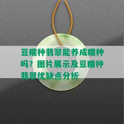 豆糯种翡翠能养成糯种吗？图片展示及豆糯种翡翠优缺点分析