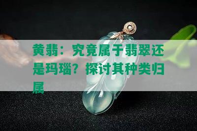 黄翡：究竟属于翡翠还是玛瑙？探讨其种类归属