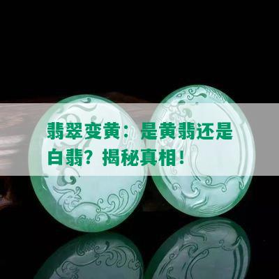 翡翠变黄：是黄翡还是白翡？揭秘真相！