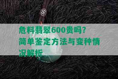 危料翡翠600贵吗？简单鉴定方法与变种情况解析