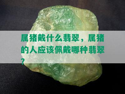 属猪戴什么翡翠，属猪的人应该佩戴哪种翡翠？