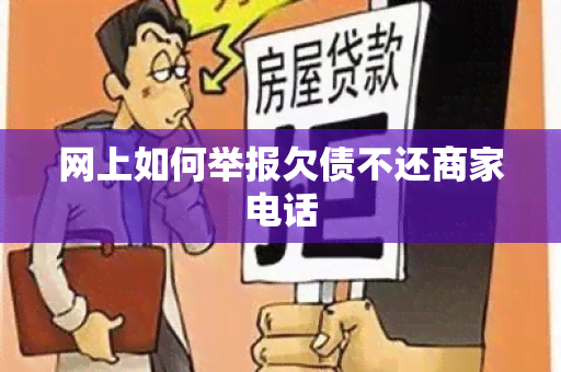 网上如何举报欠债不还商家电话