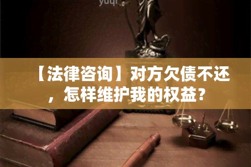 【法律咨询】对方欠债不还，怎样维护我的权益？