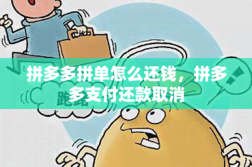 拼多多拼单怎么还钱，拼多多支付还款取消