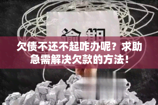 欠债不还不起咋办呢？求助急需解决欠款的方法！